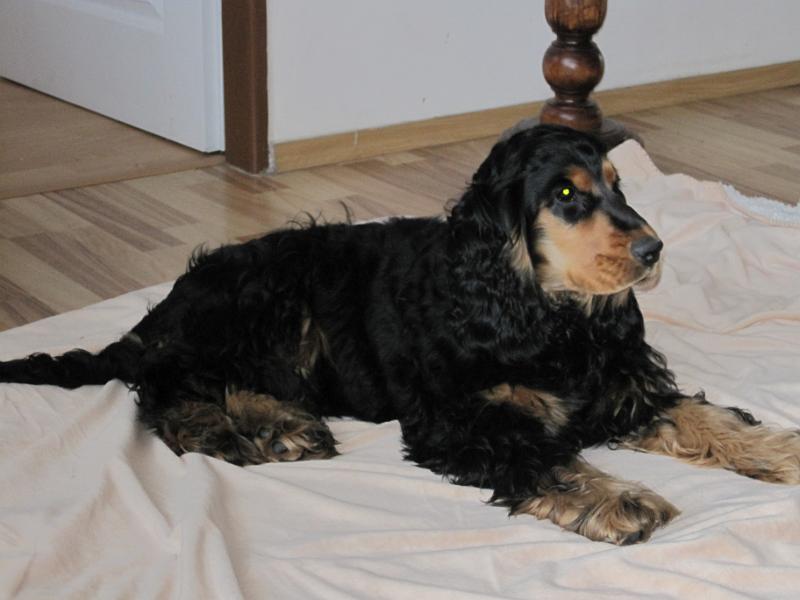 f Arny-10.4.2010.JPG